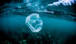 A photograph of a plastic bag floating through the ocean.